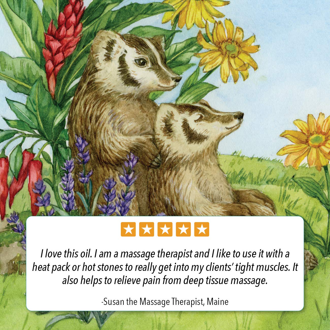 Badger Ginger Massage Oil - 100% Organic, Arnica & Cayenne, 4 oz Glass Bottle