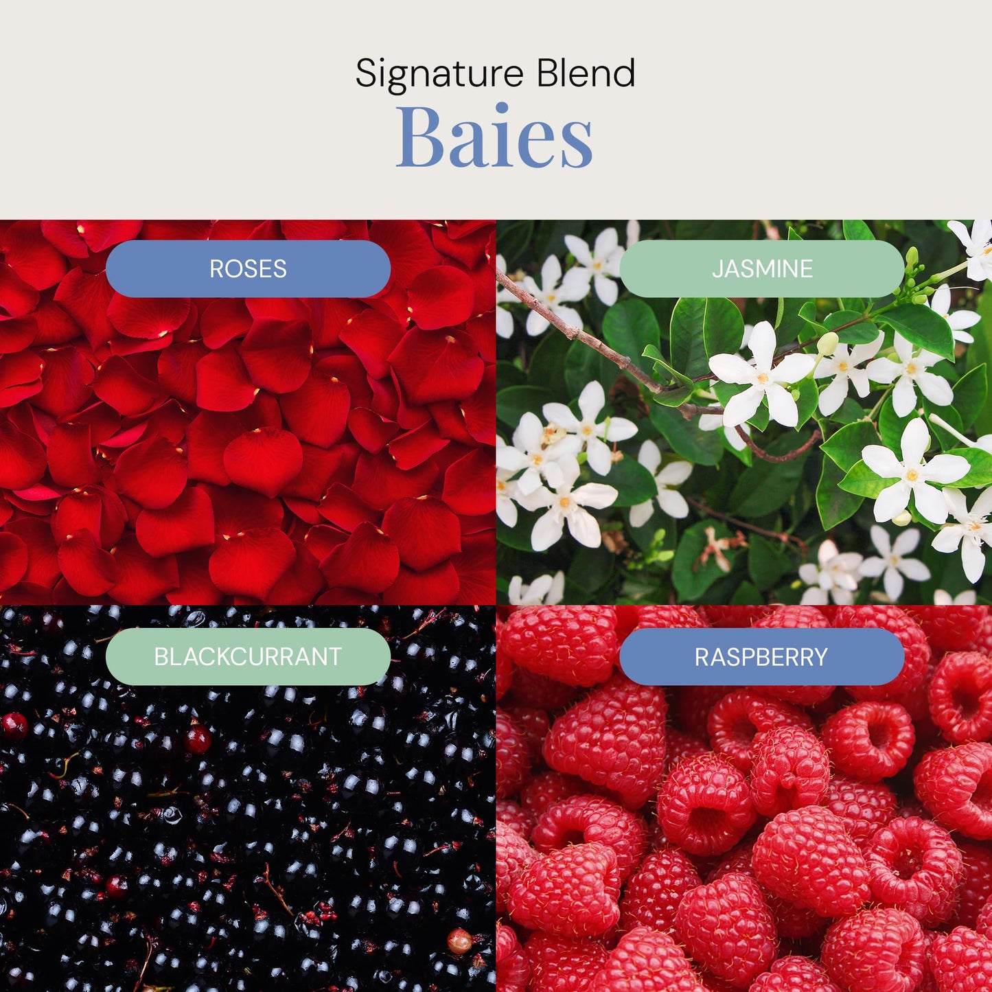 Baies Aroma Oil | Floral Bouquet Essential Oil Blend for Diffusers, 300 mL
