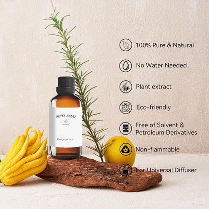 Sweet Serenade Scent Essential Oil — Hilton-Inspired Diffuser Oil by BAIESHIJI