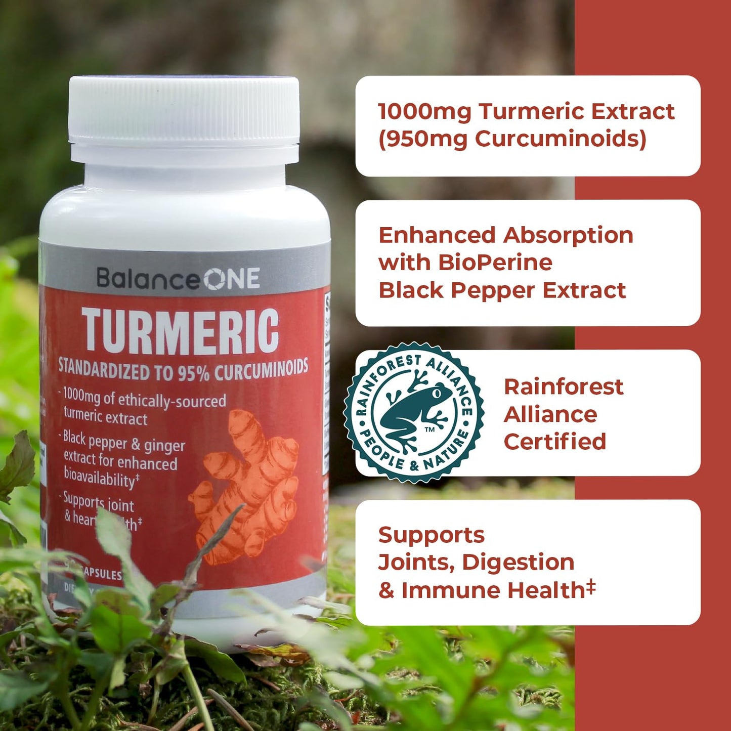Balance ONE Turmeric 1000mg with 95% Curcuminoids – Joint Support & Antioxidant