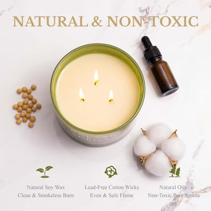 Balsam Cedar Candle – 12oz Soy 3-Wick, 60+ Hour Burn | Luxury Holiday Gift