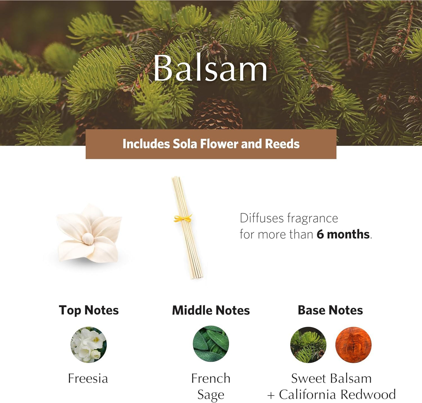 Balsam Holiday PetiteEssence Diffuser 1.7oz | Luxury Flower & Reed Diffuser