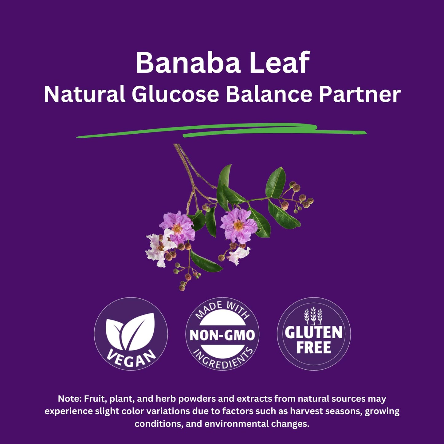 Paradise Herbs Banaba Leaf 12:1 Extract – 250 mg, 60 Caps (Pack of 2)