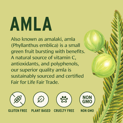 Banyan Botanicals Amla Powder – Organic Amalaki (Phyllanthus Emblica) | Vitamin C & Antioxidants | Digestion Support – 1/2 lb – Non-GMO