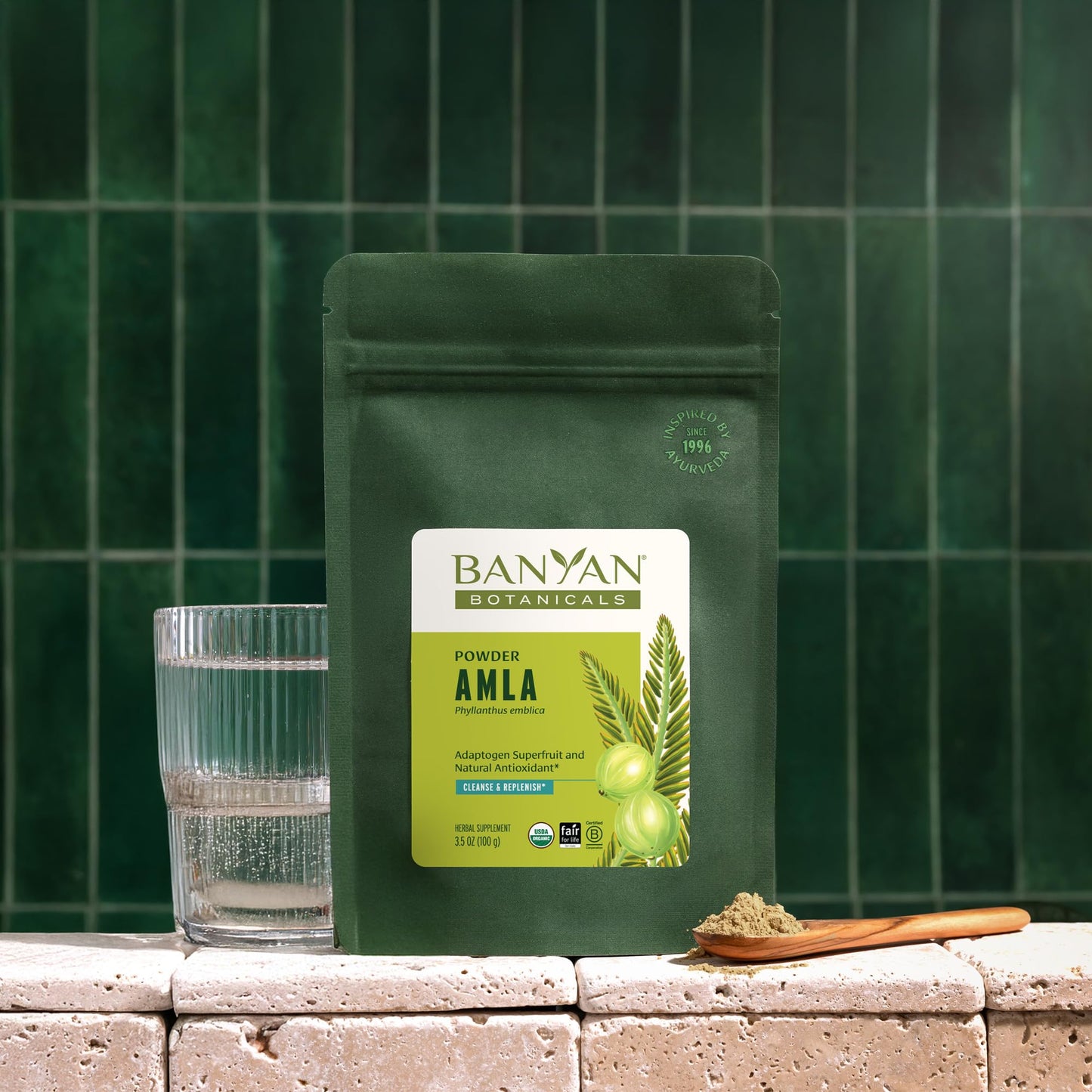 Banyan Botanicals Amla (Amalaki) Powder – Organic Amla, 3.5oz | Vitamin C & Antioxidants