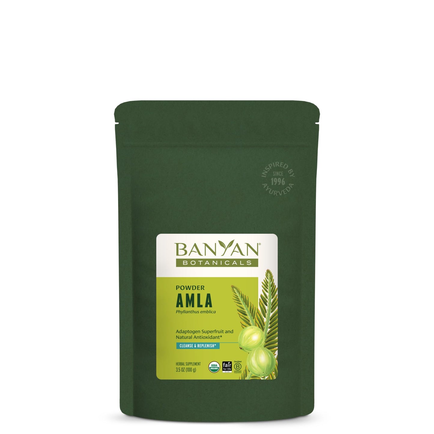 Banyan Botanicals Amla (Amalaki) Powder – Organic Amla, 3.5oz | Vitamin C & Antioxidants