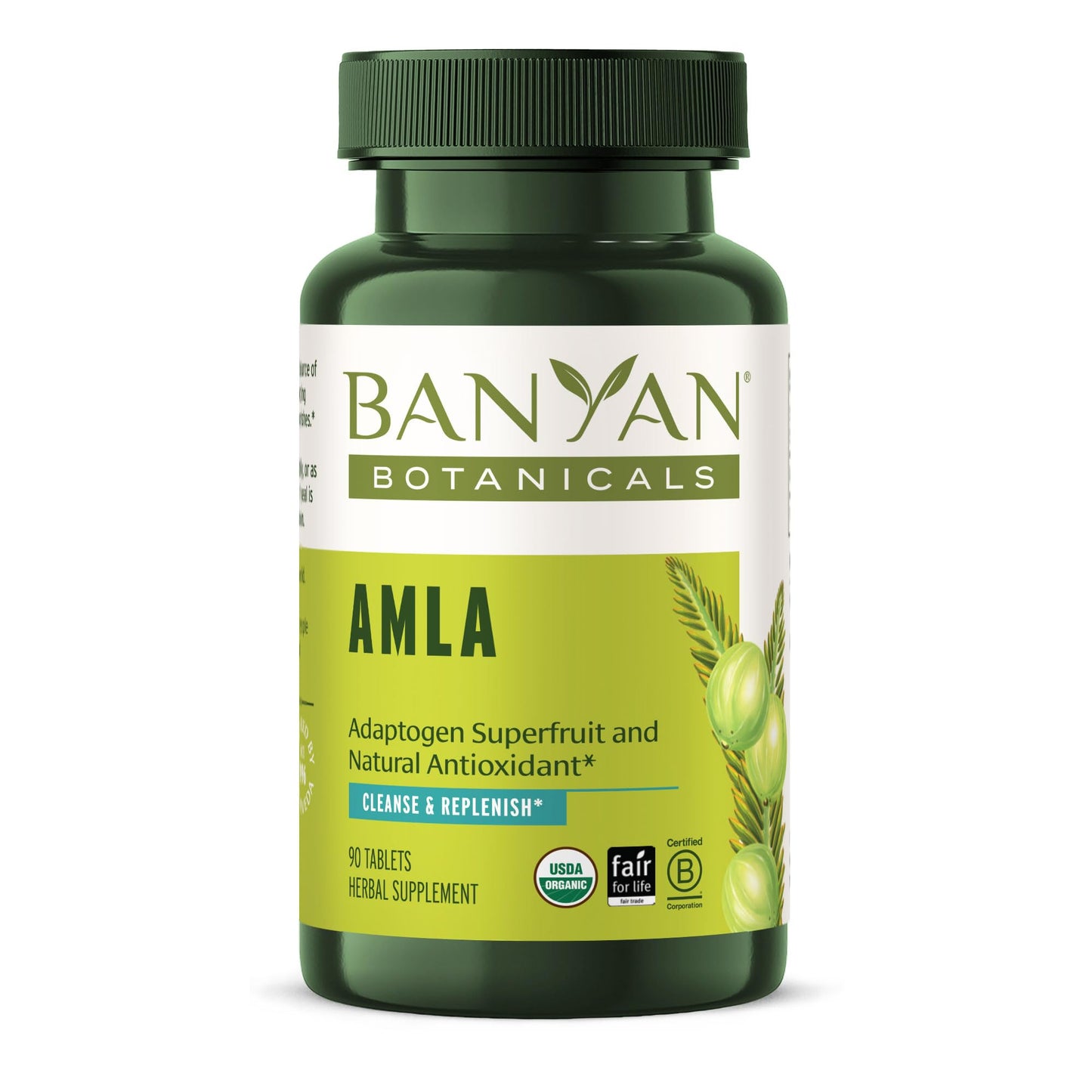 Banyan Botanicals Amla Tablets – Organic Amalaki (Emblica) | Vitamin C & Antioxidants
