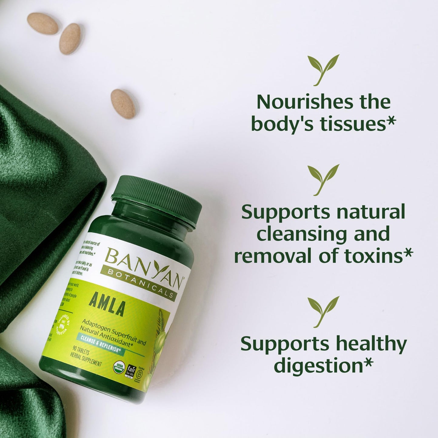 Banyan Botanicals Amla Tablets – Organic Amalaki (Emblica) | Vitamin C & Antioxidants