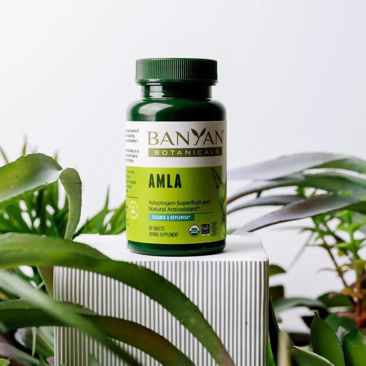 Banyan Botanicals Amla Tablets – Organic Amalaki (Emblica) | Vitamin C & Antioxidants