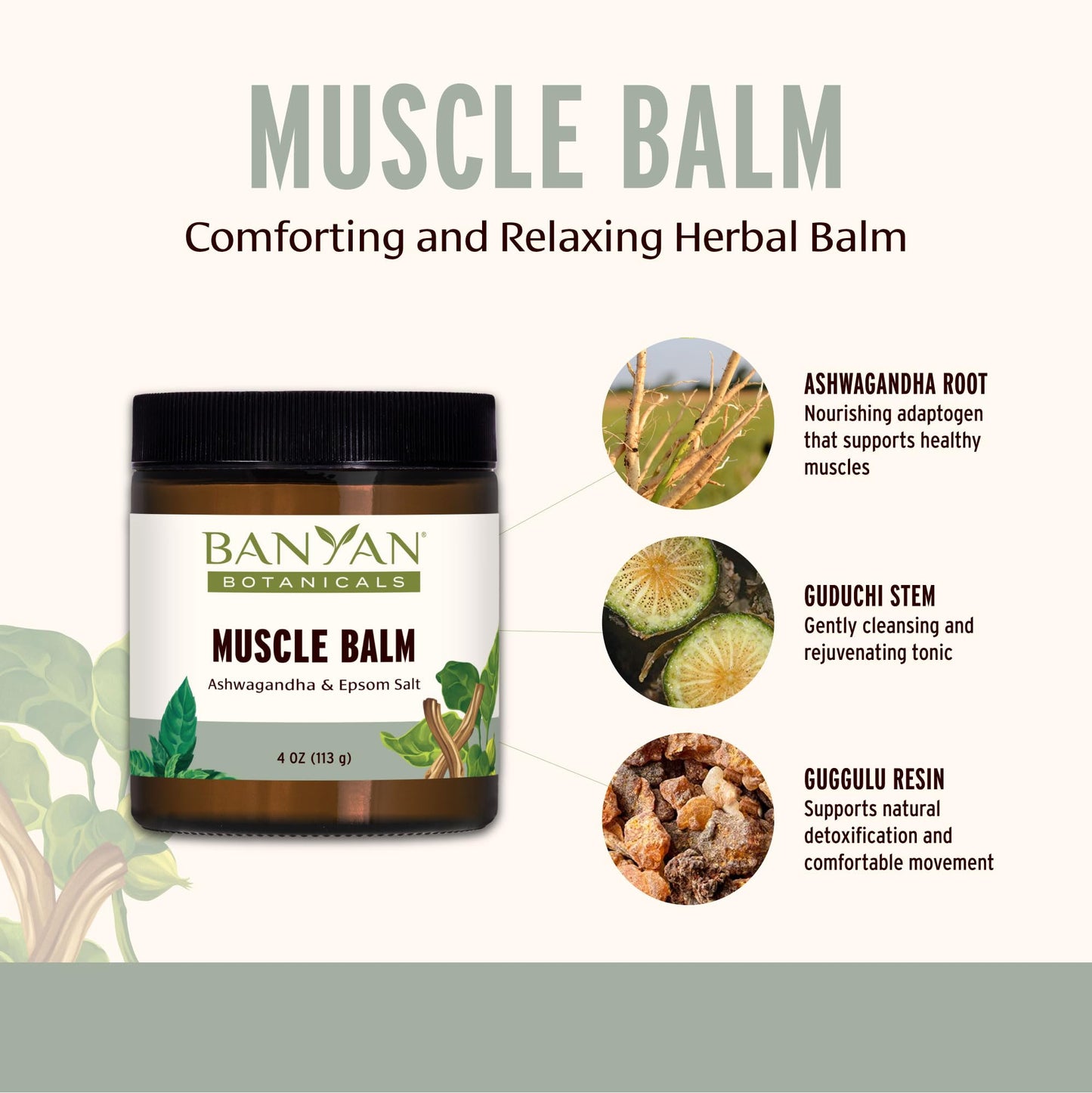 Banyan Botanicals Muscle Balm – Organic Ashwagandha & Epsom Salt 4oz