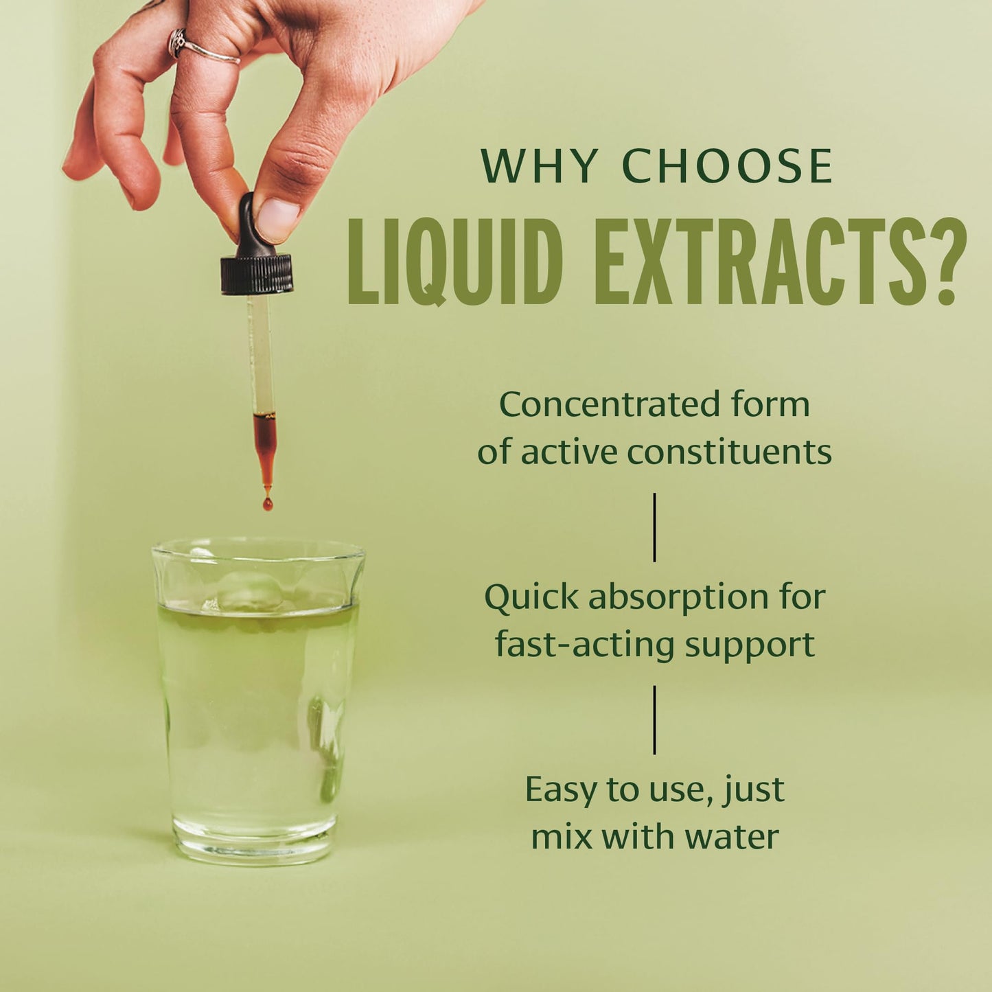 Banyan Botanicals Focus Liquid Extract – Organic Focus Supplement (1 oz) – Non-GMO, Vegan
