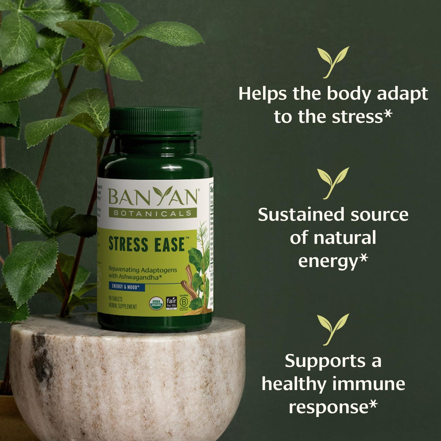 Banyan Botanicals Stress Ease – Organic Ashwagandha Adaptogen, 90 Tablets – Vegan, Non-GMO