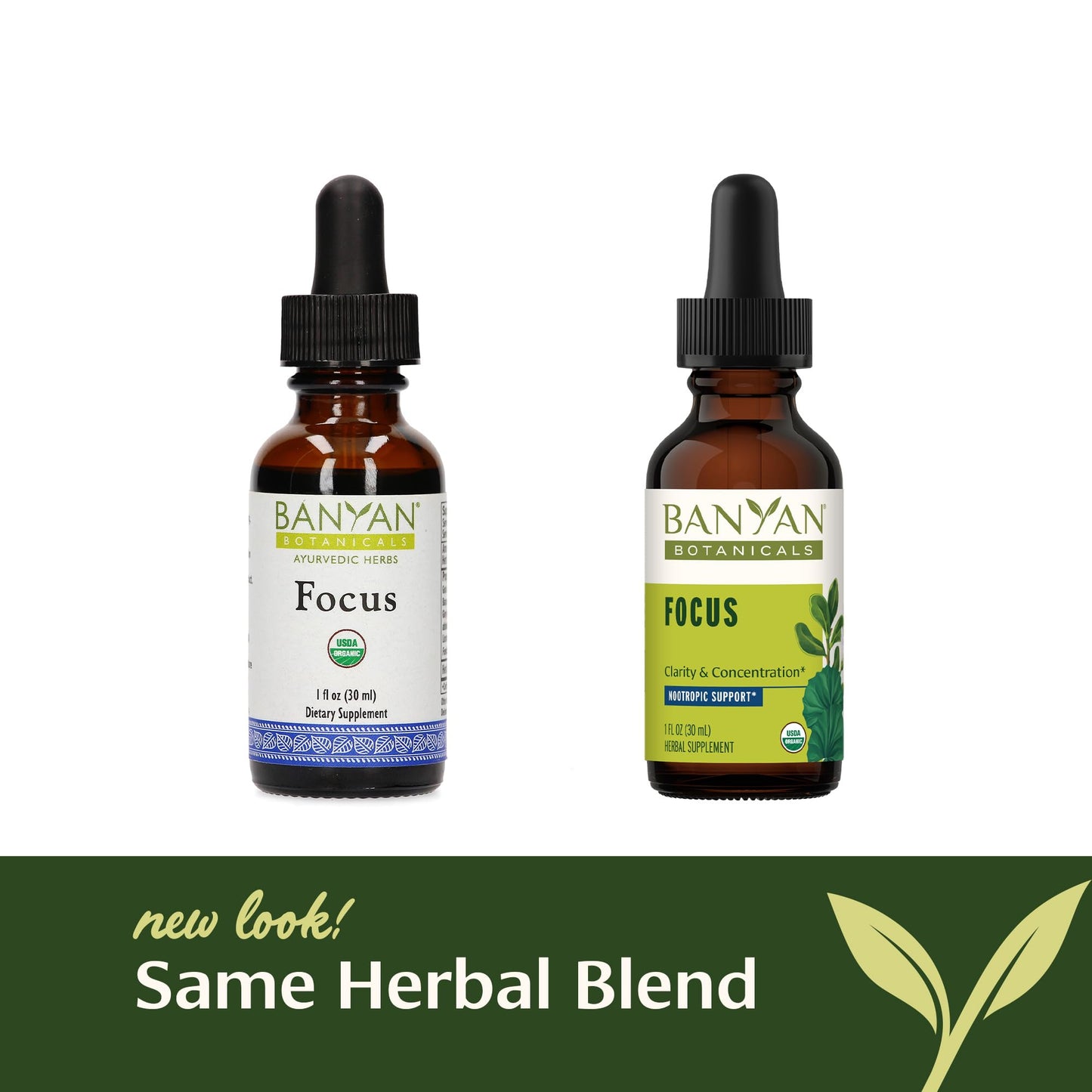 Banyan Botanicals Focus Liquid Extract – Organic Focus Supplement (1 oz) – Non-GMO, Vegan