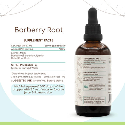 Barberry Root B120 Alcohol-Free Herbal Extract Tincture - Berberis Vulgaris 4 fl oz | Herbera