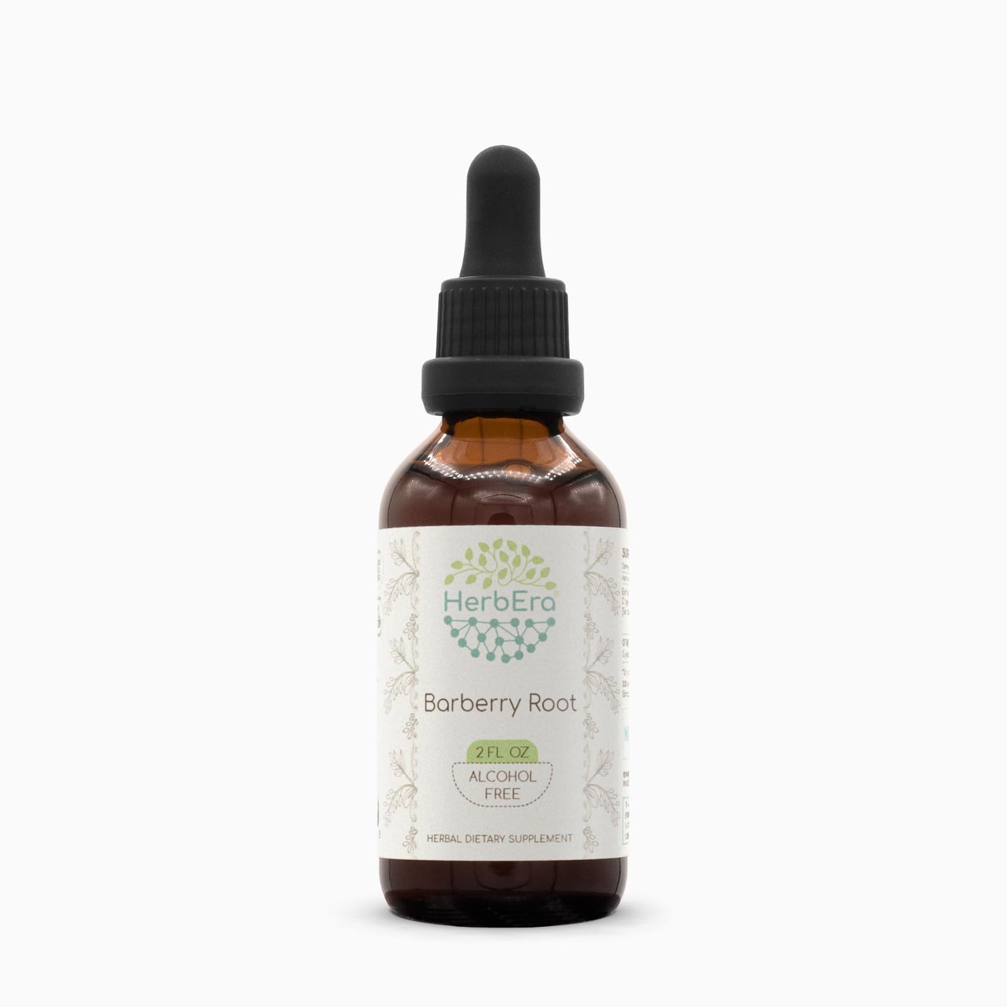 Barberry Root B60 Alcohol-Free Herbal Extract Tincture (Berberis Vulgaris) 2 fl oz | Herbera