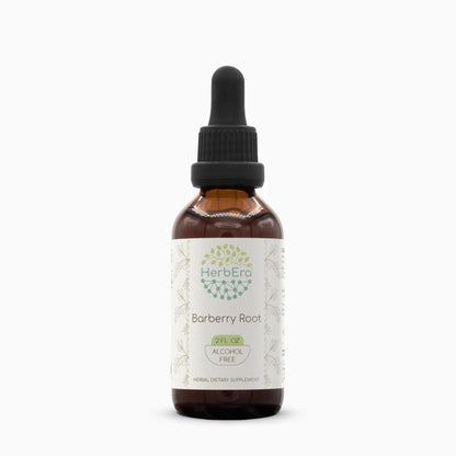 Barberry Root B60 Alcohol-Free Herbal Extract Tincture (Berberis Vulgaris) 2 fl oz | Herbera