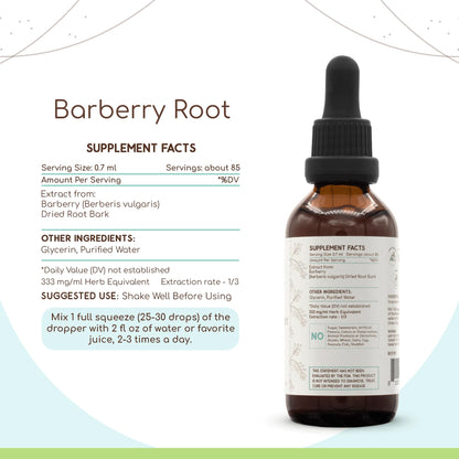Barberry Root B60 Alcohol-Free Herbal Extract Tincture (Berberis Vulgaris) 2 fl oz | Herbera
