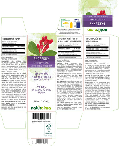 Naturalma Barberry Root Bark Tincture (1:10) - Alcohol-Free Drops, 4 fl oz | Vegan