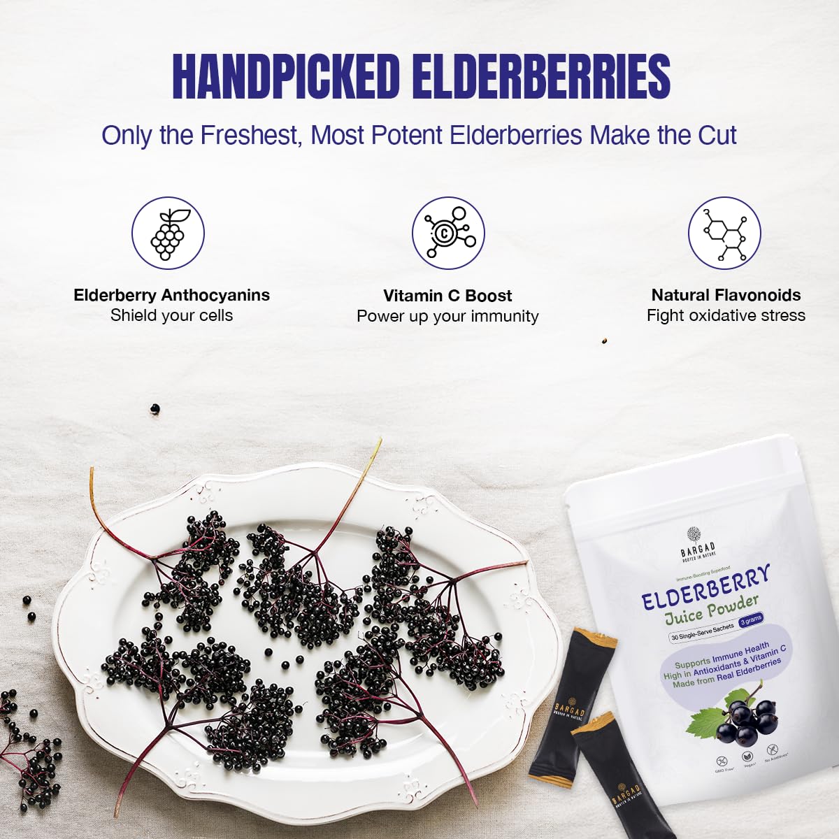 Bargad Elderberry Juice Powder – Immune Support, 100% Natural & Vegan | 30 Sachets