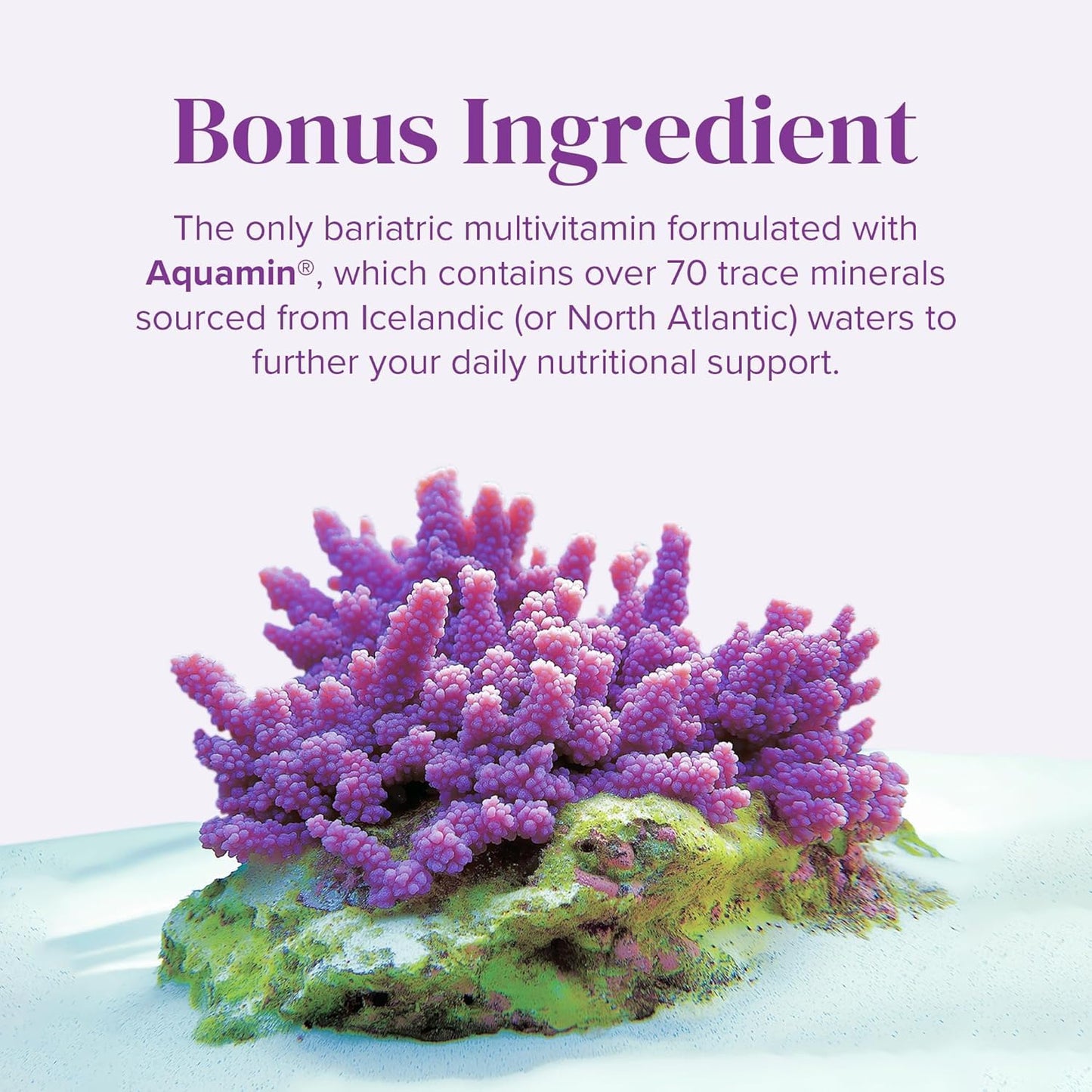 BariMelts Once Daily Bariatric Multivitamin with Iron – 60 Caplets (2-Month Supply) for Women