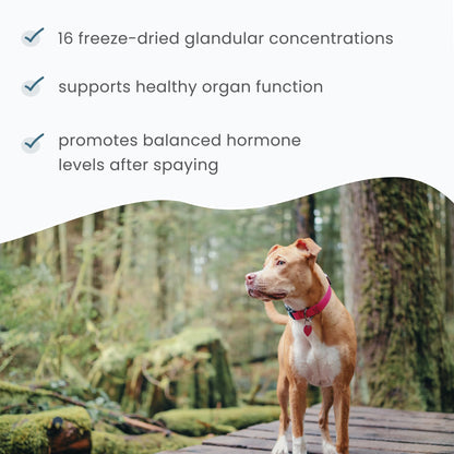 Bark & Whiskers Female Glandular Support — 4 oz (113 g), 75 Scoops, Vet-Formulated
