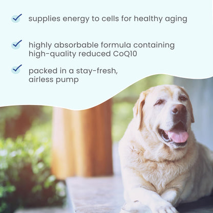 Bark & Whiskers Ubiquinol Liquid Pump for Dogs & Cats, 1.45 Fl Oz (43 mL) – Vet Formulated, Non-GMO, Dr. Mercola
