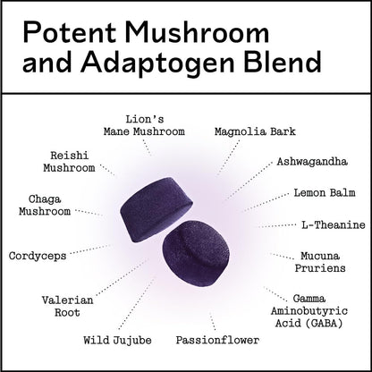 Barker Wellness Nighttime Mushroom Gummies – Vegan, Sugar-Free Adaptogen Gummies with Reishi, Lion’s Mane, Chaga, Cordyceps | Non-GMO 60 Count