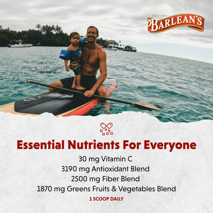 Barlean's Chocolate Greens Powder – Daily Greens Superfood, Fiber & Antioxidant Blend, 9.52 oz