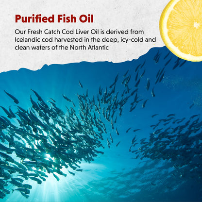 Barlean's Cod Liver Oil Liquid | Omega-3 EPA/DHA 900 mg + Vitamin D, Lemonade Flavor, 8 oz