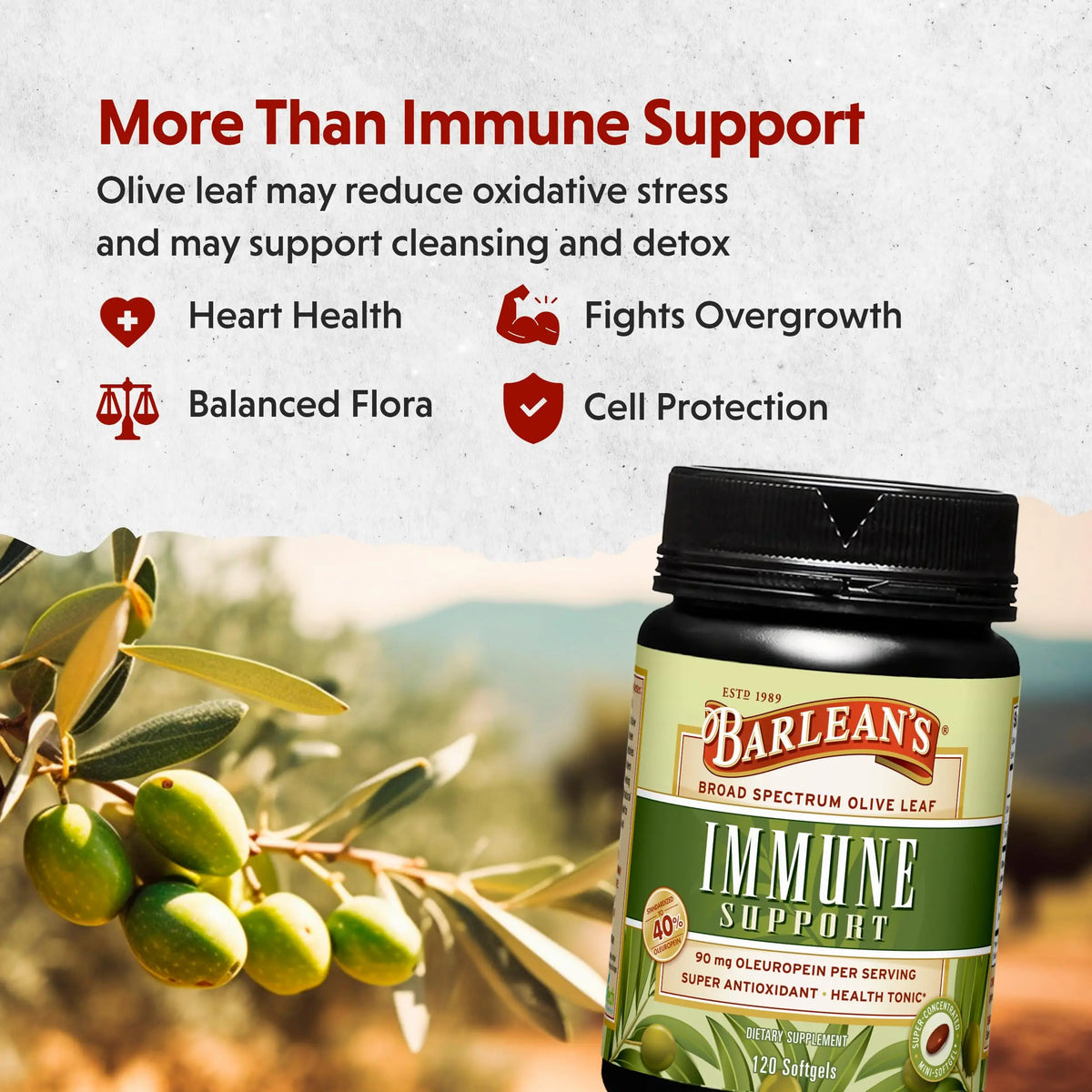 Barlean's Olive Leaf Complex Supplements – Immune Support Softgels, 95 mg Oleuropein, 120 Count BritishVita | Premium UK Vitamins & Wellness Supplements