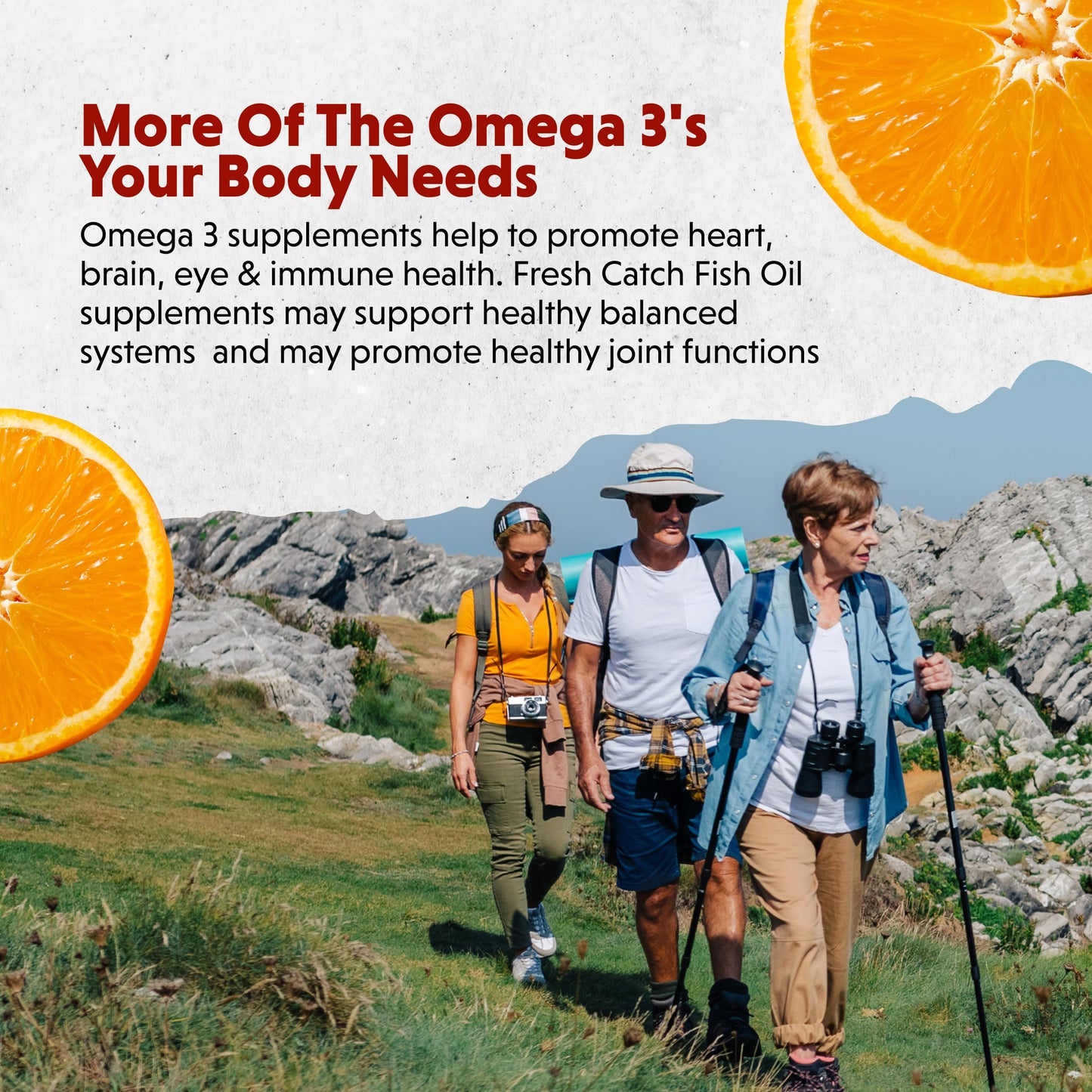 Barlean's Omega-3 Fish Oil Supplements | 1300 mg EPA/DHA Orange Softgels, 60 Count