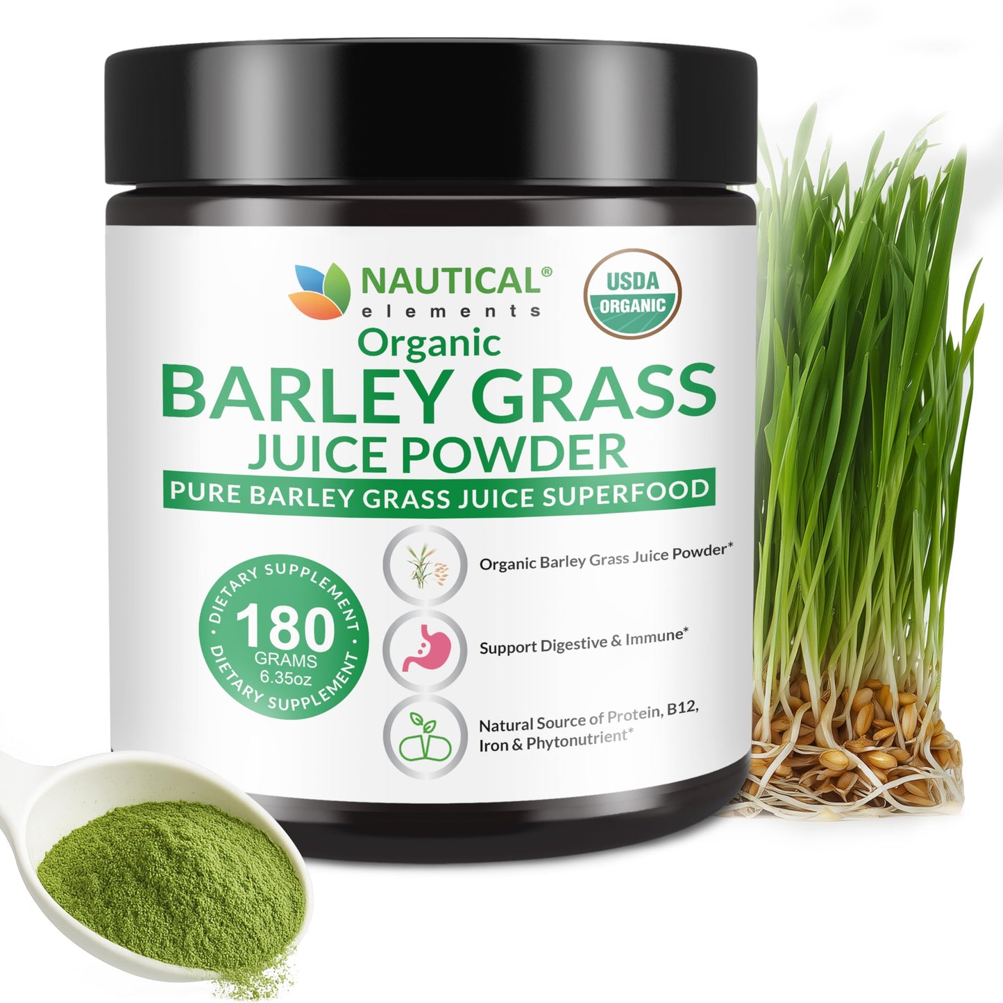 Barley Grass Juice Powder Organic - Raw & Cold-Processed Superfood (6.35oz / 180g) | 72 Servings