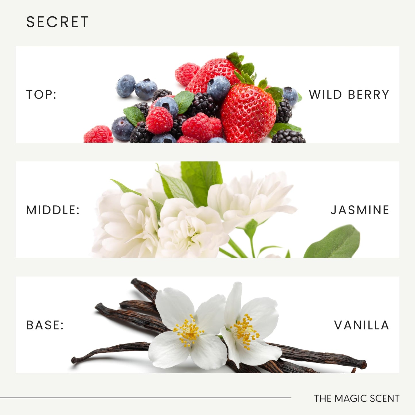 The Magic Scent Secret Diffuser Oil – Rose & Jasmine for Diffusers (0.3 fl oz / 10 mL)