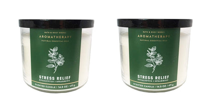 Bath and Body Works Aromatherapy 3-Wick Candle – Eucalyptus Spearmint, 14.5 oz (2 Pack)