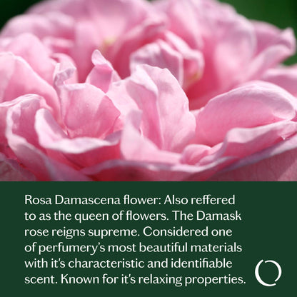 Livedrops 24/7 Confident Essential Oil Blend 10ml – Rose Damascena, Pink Pepper & Blackcurrant Bud
