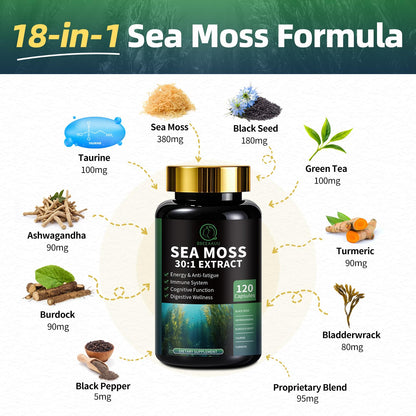 BBEEAAUU Sea Moss & Shilajit Bundle - Energy & Immunity, 480 Capsules