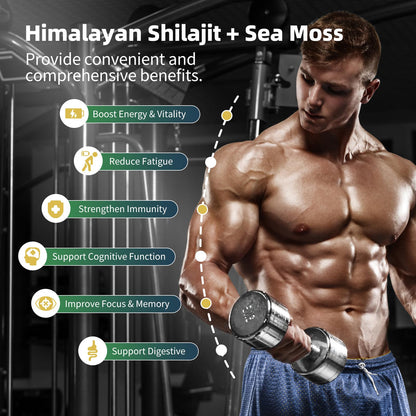 BBEEAAUU Sea Moss & Shilajit Bundle - Energy & Immunity, 480 Capsules