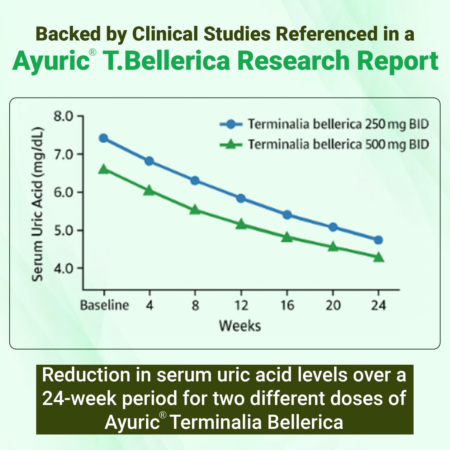 BBETTER UricUrja – Uric Acid Support with Ayuric® (Terminalia bellirica)