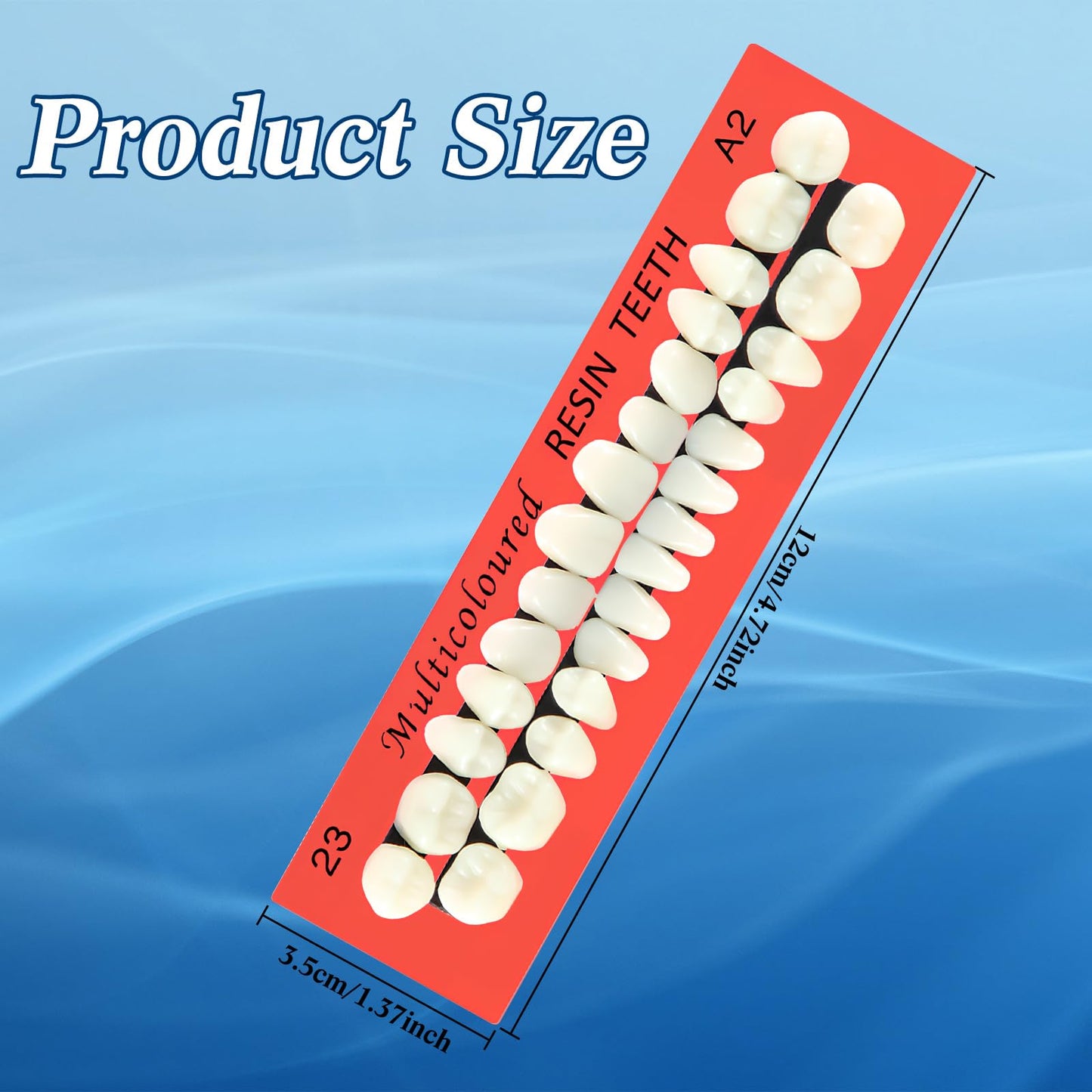 BBTO 6 Sets Acrylic Resin Fake Teeth – Denture Replacement Prop, A2, 168 Pieces