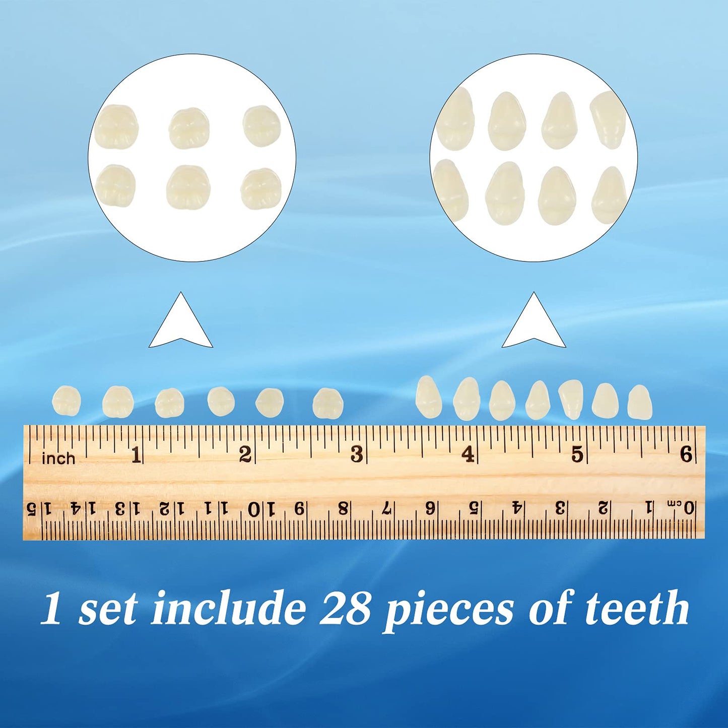 BBTO 6 Sets Acrylic Resin Fake Teeth – Denture Replacement Prop, A2, 168 Pieces