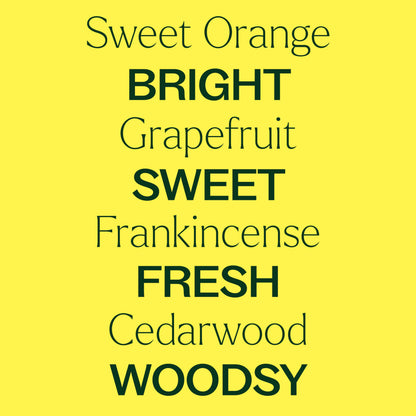 Be Confident Essential Oil Blend 10 mL by Plant Therapy – Pure & Undiluted