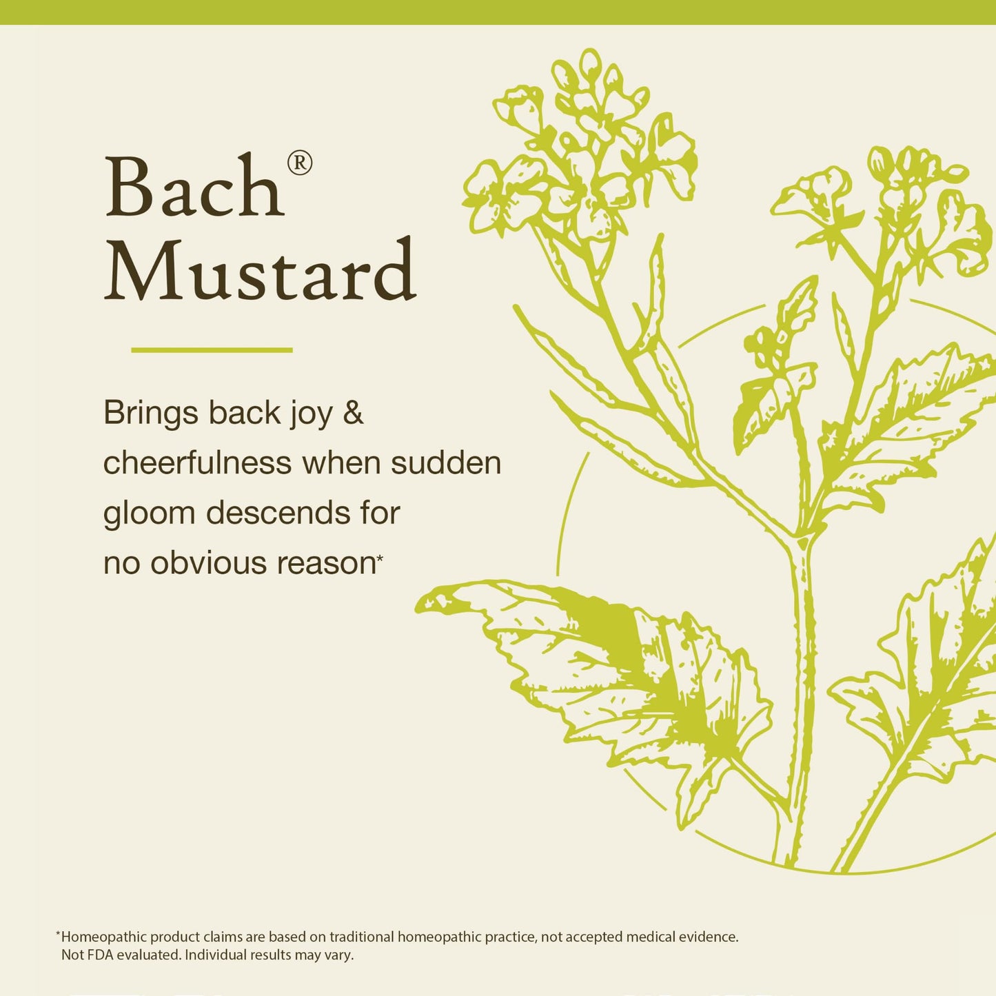 Bach Mustard Flower Remedy - Non-Alcohol Formula | Be Joyful 10mL