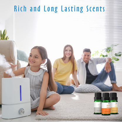 Beach Fragrance Oils by MitFlor – 6x10 ml Diffuser & Candle Oils