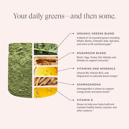 Beam Greens Powder - Vegan Organic Greens for Gut Health & Immune Support | 30 Servings