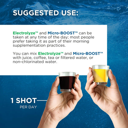 BEAM MINERALS Travel Pack: On-The-Go Electrolyte & Micronutrient Support