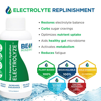 BEAM MINERALS Travel Pack: On-The-Go Electrolyte & Micronutrient Support