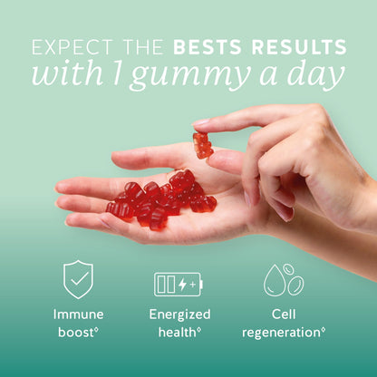 Bears with Benefits Immune Support Gummies – Vitamins C, D, B6 & B12 | Vegan (30 Gummies)