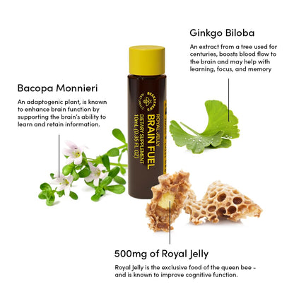 BEEKEEPER'S NATURALS B.LXR Brain Fuel - Memory, Focus & Clarity (Caffeine-Free, Keto Friendly)