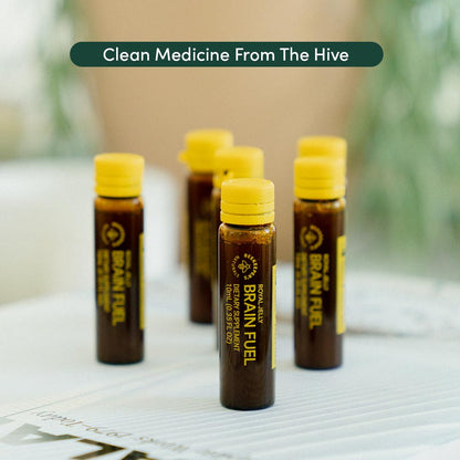 BEEKEEPER'S NATURALS B.LXR Brain Fuel - Memory, Focus & Clarity (Caffeine-Free, Keto Friendly)