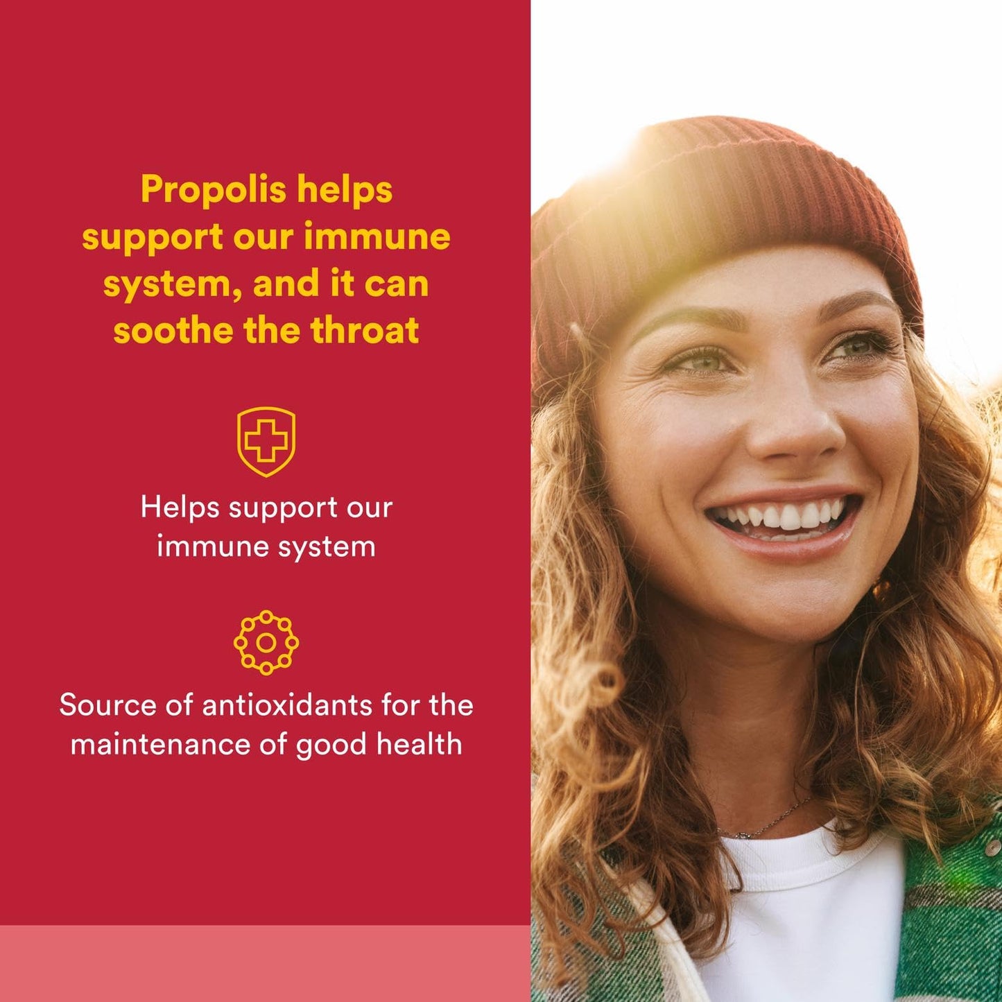 Natural Factors Bee Propolis Extract 500 mg – Supports Immune Health – 90 Capsules (90 Servings)